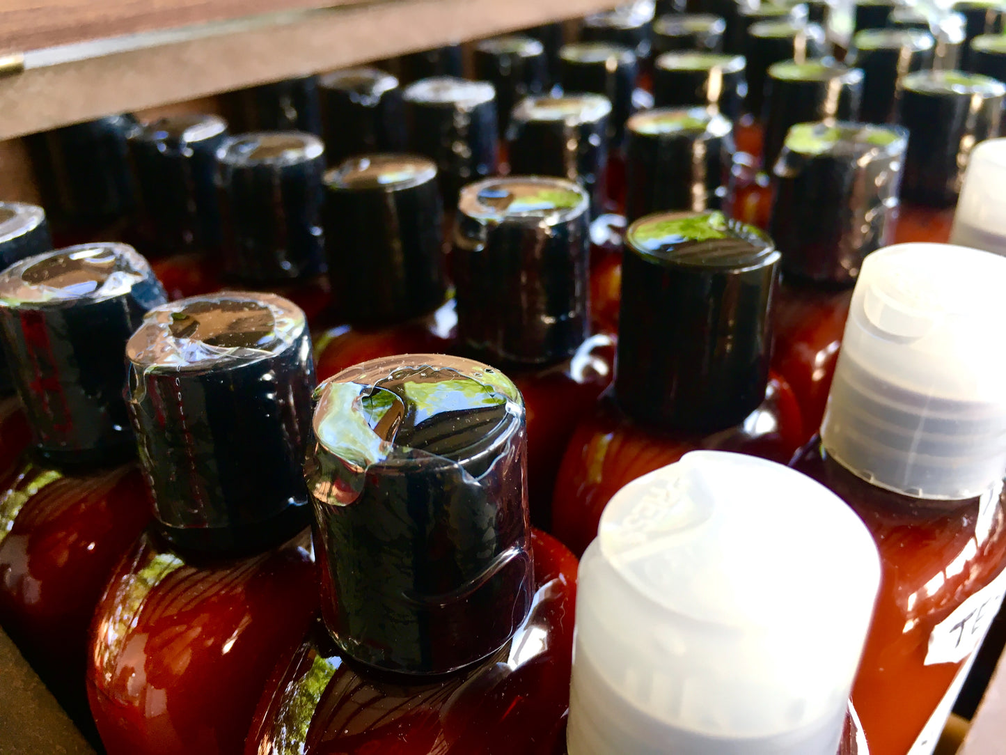 Teakwood and Cardamom Lotion