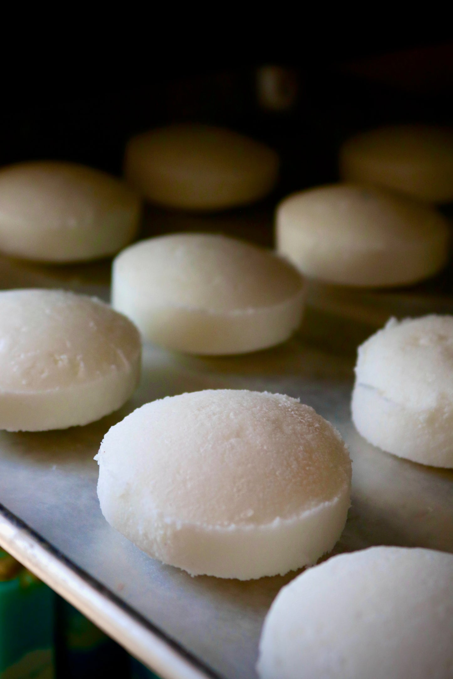 Eucalyptus & Spearmint Shampoo Bar
