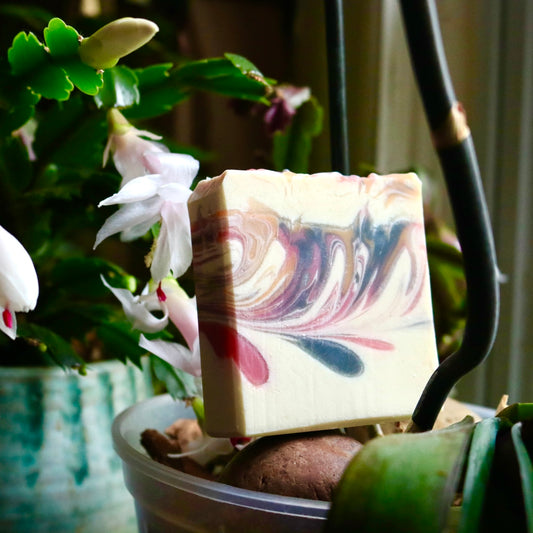 Handmade vegan Winter Maiden soap. The plant-based bar is perched atop an orchid container plant and in front of a Christmas cactus.